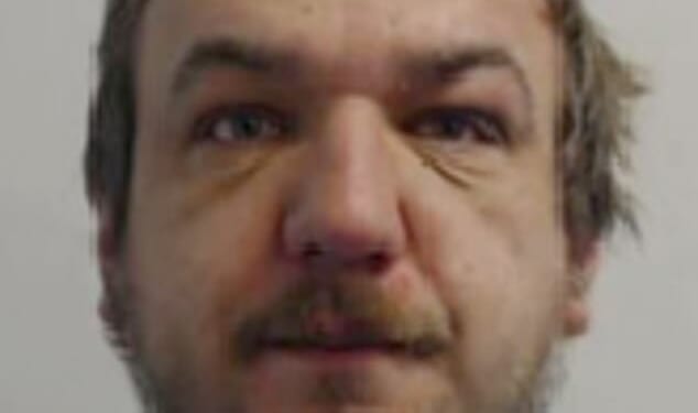 Rapist Mihai Nicolae Patran has been jailed for nine years