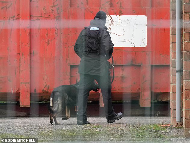 A dog handler walking within the security fence this morning