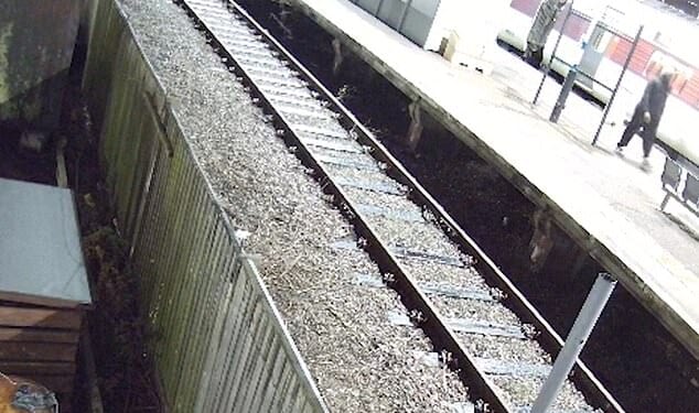 Footage shows the moment the innocent man walked down the train platform at Huntingdon moments before he was tasered