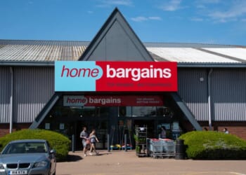 Shoppers rush to Home Bargains to get their hands on Jellycat dupes for just £2.50