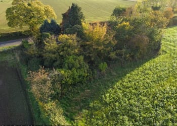 Believe it or not - hiding beneath this enormous bush is a bungalow recently placed on the market for £110,000