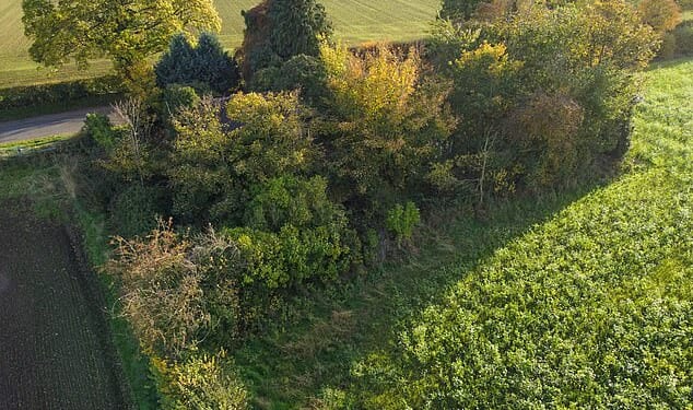 Believe it or not - hiding beneath this enormous bush is a bungalow recently placed on the market for £110,000