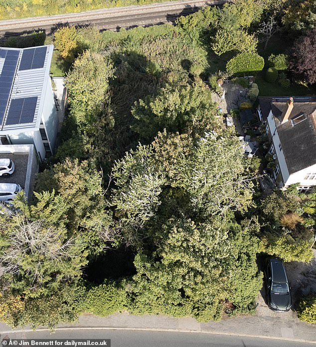 In September, an overgrown garden in a trendy seaside town raised eyebrows after going on the market for an eye-watering price