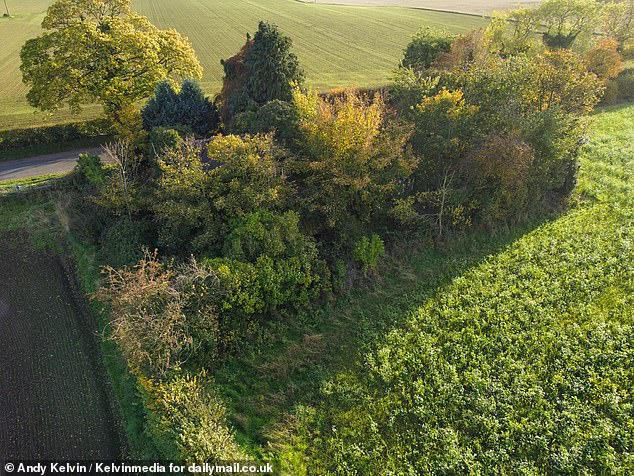 Believe it or not - hiding beneath this enormous bush is a bungalow recently placed on the market for £110,000