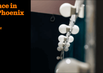 Silence in the Phoenix | M.G. Scott