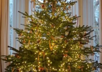 Sir David Beckham left fans in stitches as he recreated his viral 'be honest' moment from his Netflix documentary, after doubting his wife Victoria decorated their Christmas tree