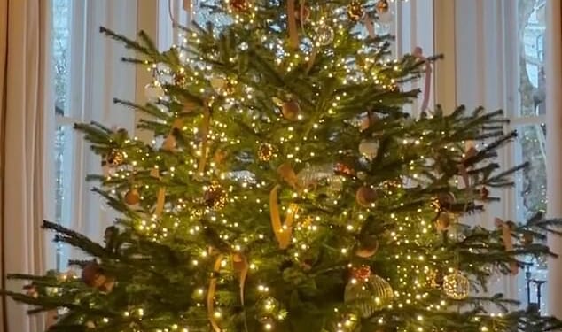 Sir David Beckham left fans in stitches as he recreated his viral 'be honest' moment from his Netflix documentary, after doubting his wife Victoria decorated their Christmas tree