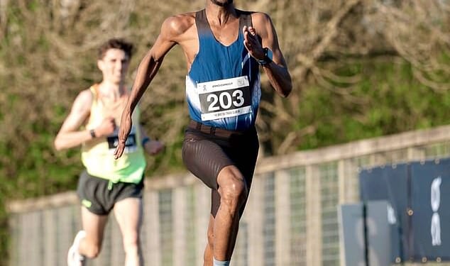 Abdinasir Elmi, 26, whose immigration status is being decided, has been charged with sexual and strangulation crimes