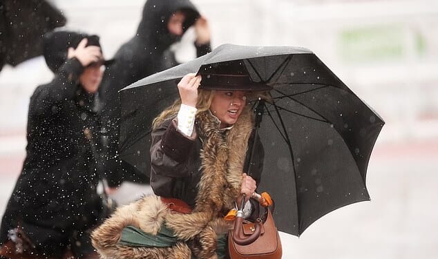 Racegoers battle the rainy conditions during the first day at Cheltenham Racecourse