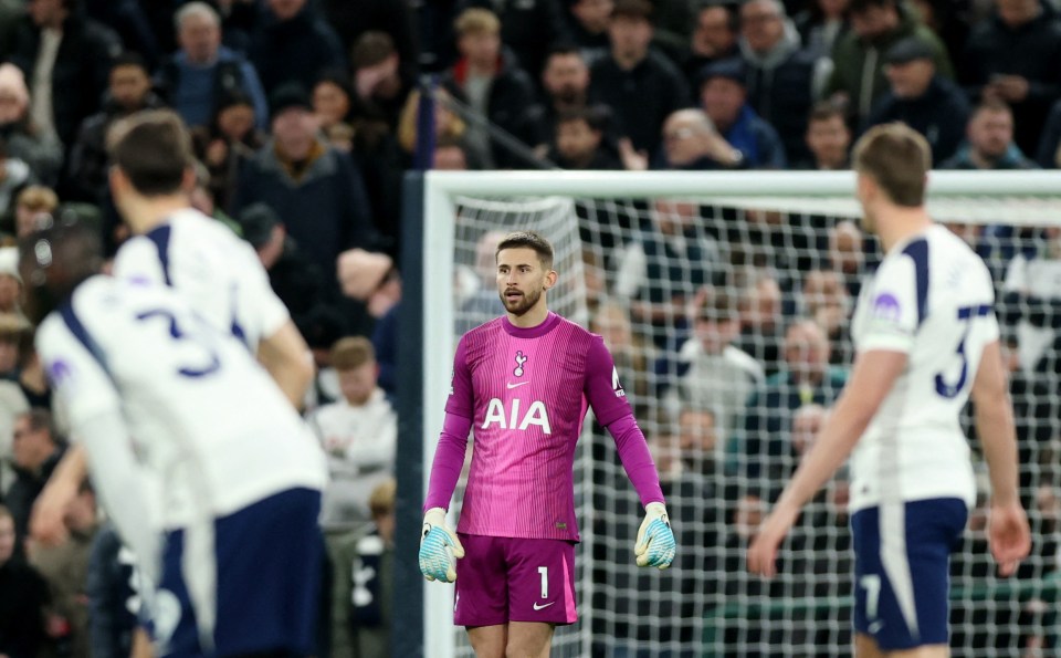 Premier League - Tottenham Hotspur v Fulham