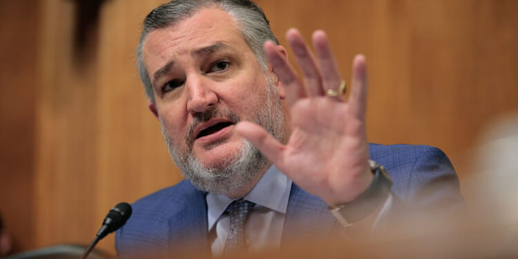 Ted Cruz Wants Tucker As His 2028 Enemy