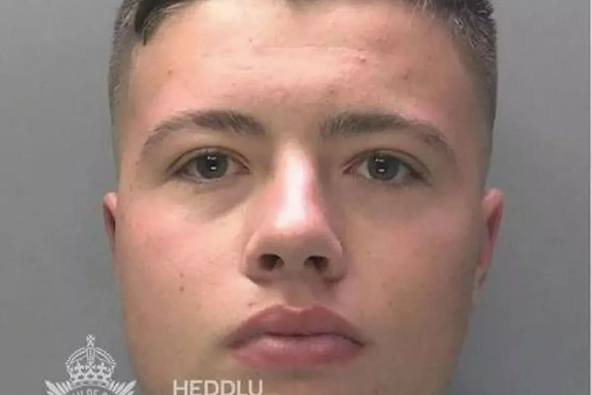 An image collage containing 1 images, Image 1 shows NINTCHDBPICT001035911039