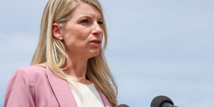  The Democrats’ Wage-Suppression Campaign - The American Conservative