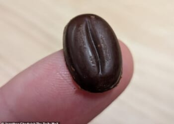 California Cultured has sent me a small sample of lab-grown chocolate to try - about the size of a coffee bean