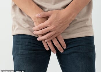 The evolution of the penis: Scientist reveals why human phalluses are so 'conservative' compared to other animals