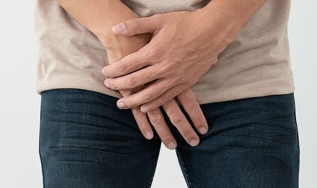 The evolution of the penis: Scientist reveals why human phalluses are so 'conservative' compared to other animals