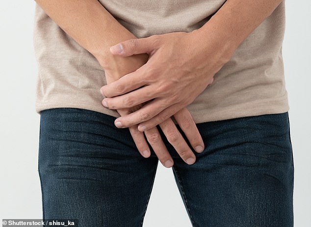 The evolution of the penis: Scientist reveals why human phalluses are so 'conservative' compared to other animals