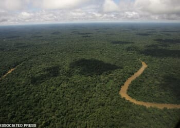 The Amazon rainforest (pictured) covers much of northwestern Brazil and extends into Colombia, Peru as well as other South American countries