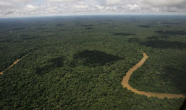 The Amazon rainforest (pictured) covers much of northwestern Brazil and extends into Colombia, Peru as well as other South American countries