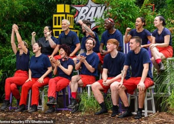 The I'm A Celebrity ... Get me Out Of Here! line-up is one of TV's most closely guarded secret as each year as bosses send out the invitations to the Jungle
