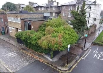 The Camden Mews property on auction, which potential buyers might find difficult to spot given its rather overgrown hedges