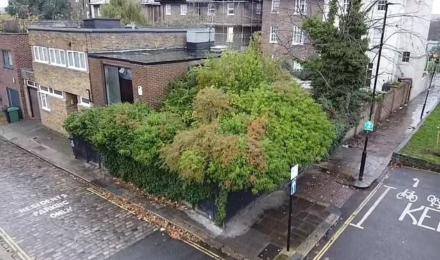 The Camden Mews property on auction, which potential buyers might find difficult to spot given its rather overgrown hedges
