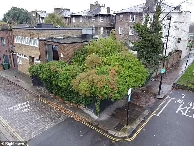 The Camden Mews property on auction, which potential buyers might find difficult to spot given its rather overgrown hedges