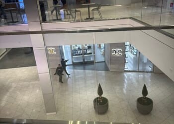 Two officers were seen patrolling the mall with guns drawn