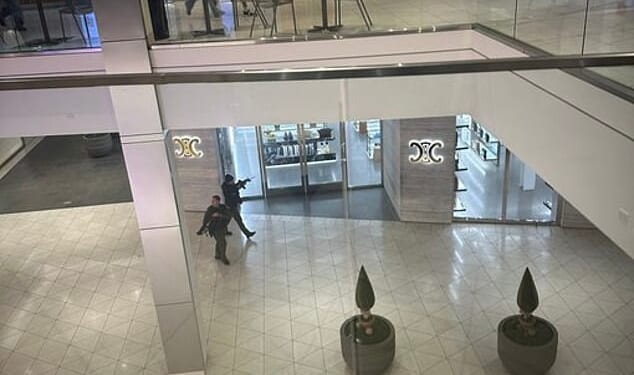 Two officers were seen patrolling the mall with guns drawn
