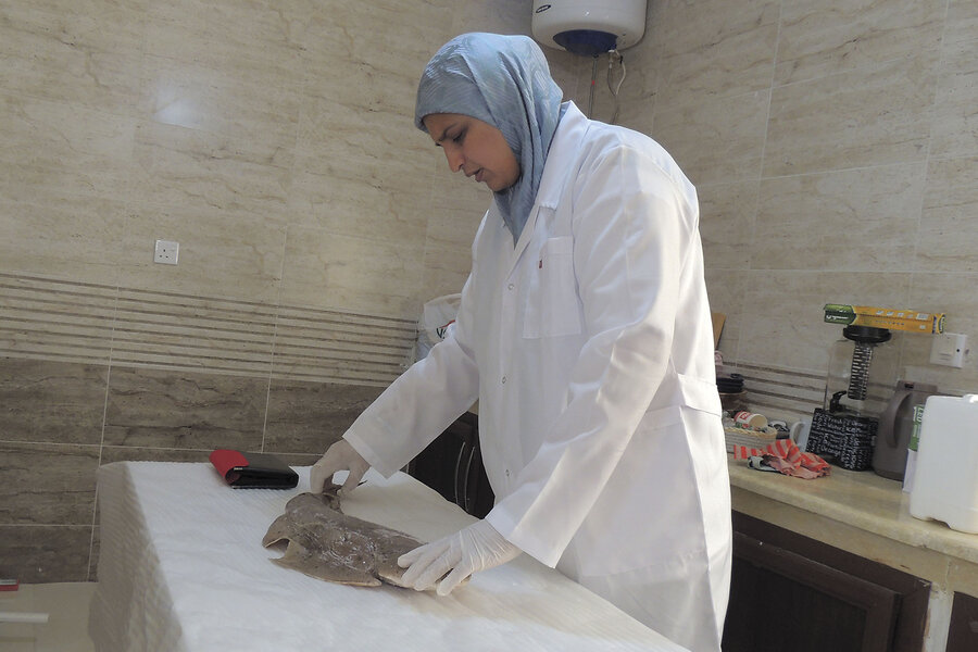 To save angel sharks, Libyan biologist collaborates with fishers