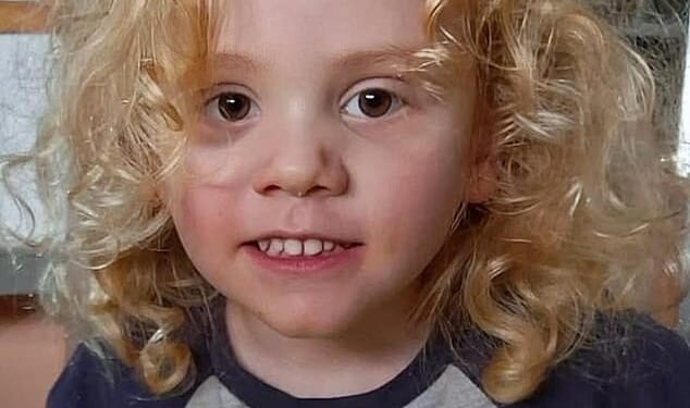 Police have searched six mine shafts but found no trace of Gus Lamont (above) who disappeared on September 27