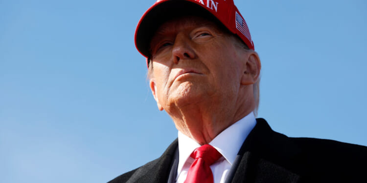 Trump Administration to Investigate Foreign Meatpackers on Beef Prices