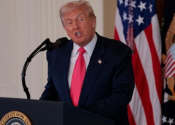 President Donald Trump, pictured speaking at the White House last week.