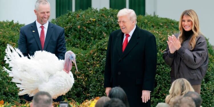 President Donald Trump pardons National Thanksgiving Turkey Gobble outside the White House in Washington, DC on Nov. 25, 2025.