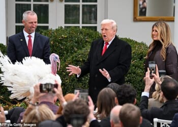 First Lady Melania Trump looks on as President Donald Trump pardons Gobble, the official National Thanksgiving turkey, during the White House turkey pardon ceremony on November 25, 2025