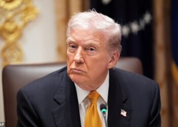 Trump, 79, took to Truth Social on Saturday to recommend Republicans stop sending federal funds to 'money-sucking insurance companies' and instead give it to the American people to spend on healthcare