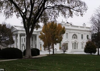 National Guard troops were shot near the White House on Wednesday afternoon
