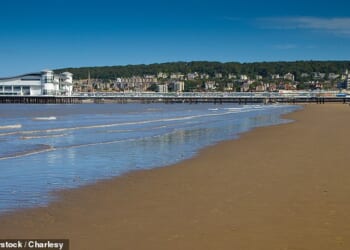 Coastal town Weston-super-Mare has become a popular spot, drawing in visitors with its characterful promenades and attractions