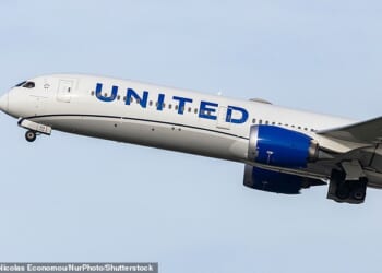 A United Airlines stewardess was ten times the legal limit to fly after downing vodka on a transatlantic jet, a court heard (file image)