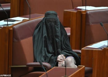 Pauline Hanson (pictured) wearing a burqa on the Senate floor on Monday afternoon