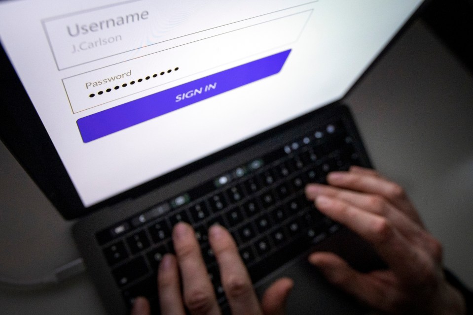 Person logging into an online account.