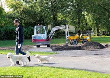 A play park in Chapel-en-le-Frith, Derbyshire, pictured, has been bulldozed and the council ordered to pay £130k after three villagers took legal action over allegedly noisy football games