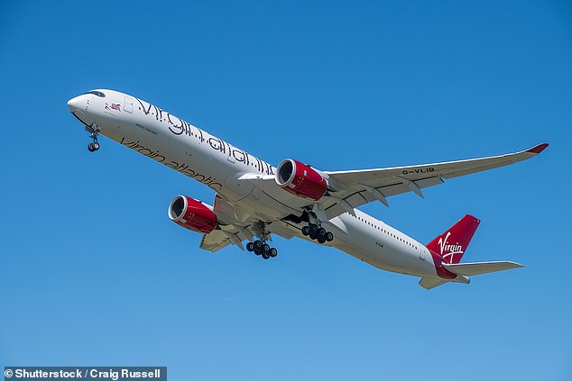 The mother-of-two attacked Steven White on a nine-hour Virgin Atlantic flight from Miami to London Heathrow this year in what was described as a 'terrifying' experience for other passengers (file image)