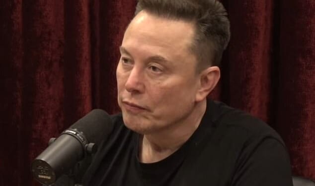 Elon Musk is pictured during his latest appearance on the Joe Rogan Experience
