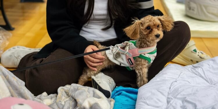 What to know about the apartment tower fire in Hong Kong