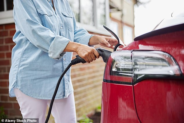 Charging ahead: Appetite for second-hand EVs is growing as prices now compare much more favourably with used petrol cars