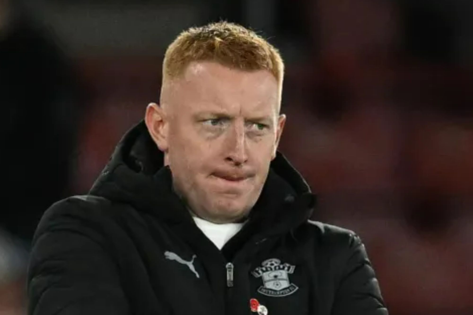 An image collage containing 1 images, Image 1 shows Southampton manager Will Still looks dejected during a football match