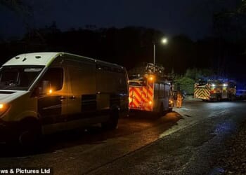 Images from the scene show a row of emergency vehicles line up through the road amidst the search