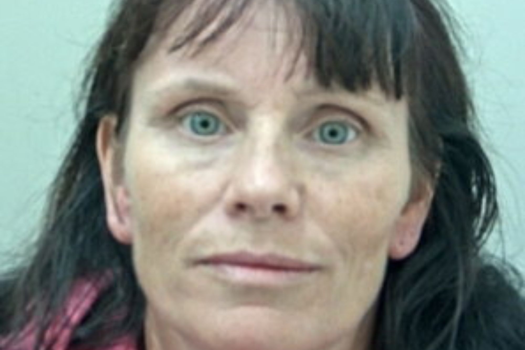 An image collage containing 1 images, Image 1 shows Mugshot of Pamela Urvoy, a woman with dark hair and light eyes