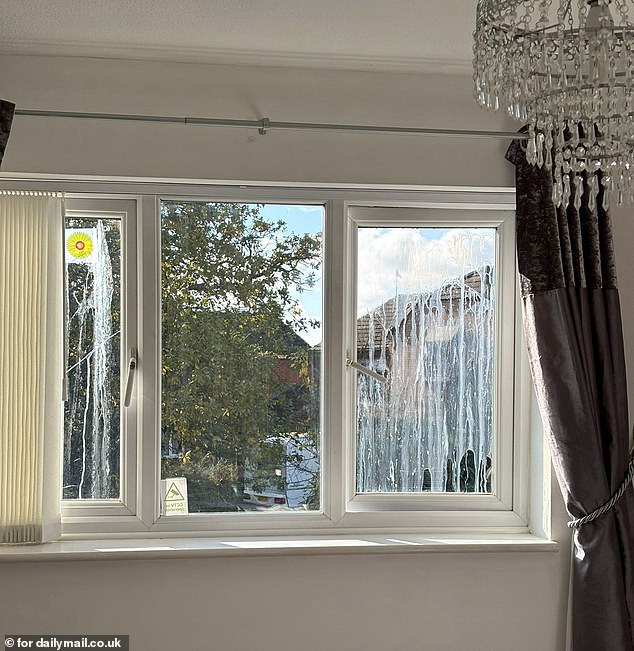 Egg insides run down the windows of Celine's home after the food was pelted at it